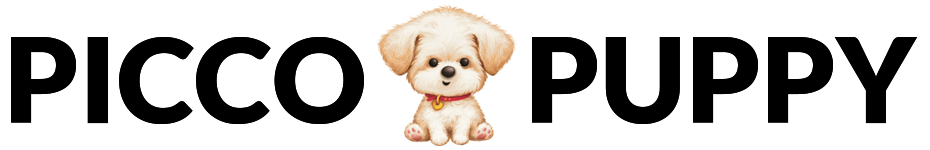 Picco Puppy