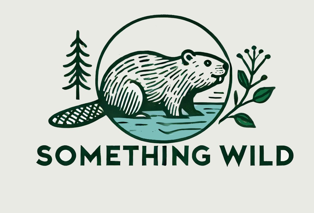 Something Wild